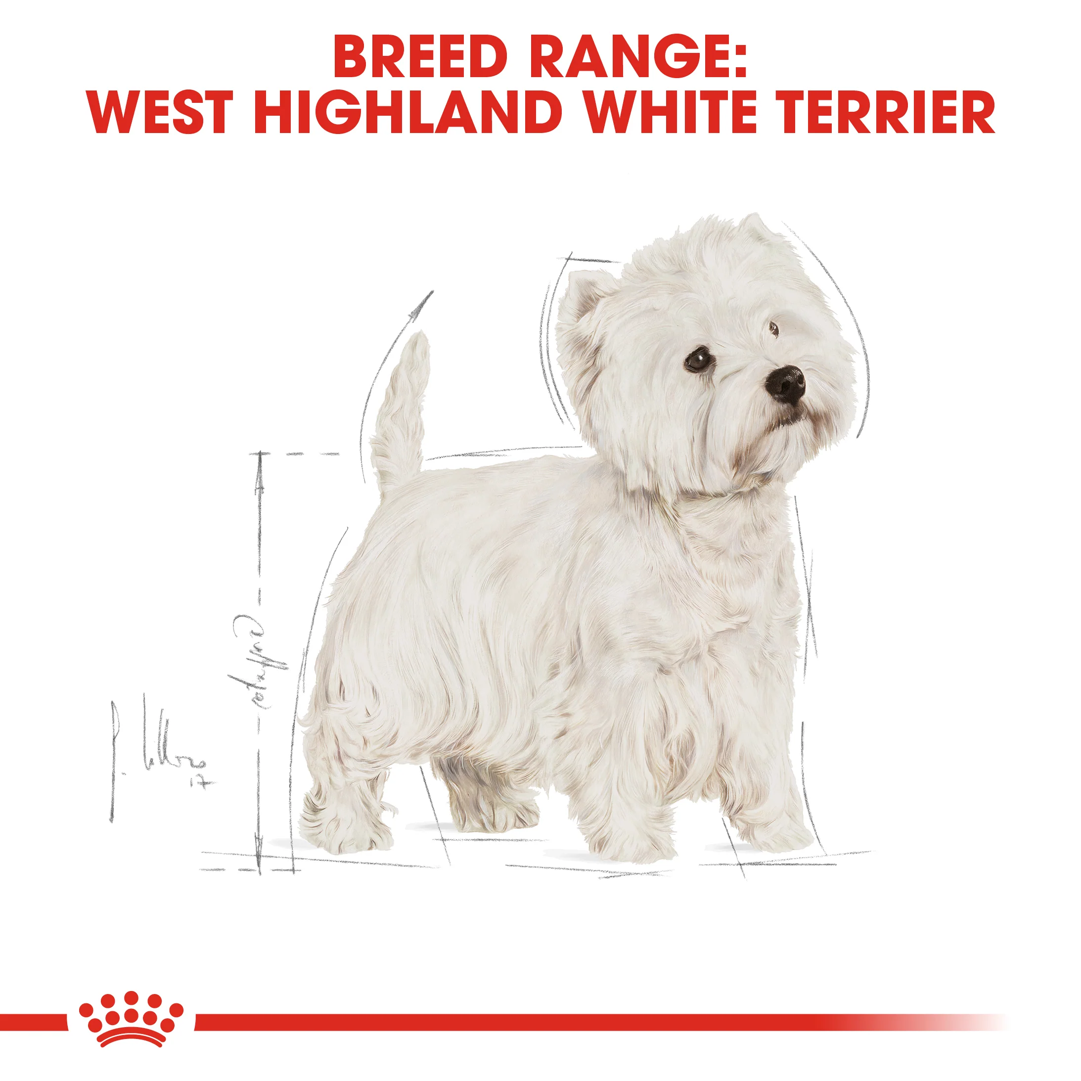 ROYAL CANIN® West Highland White Terrier Adult Dry Dog Food - Image 9