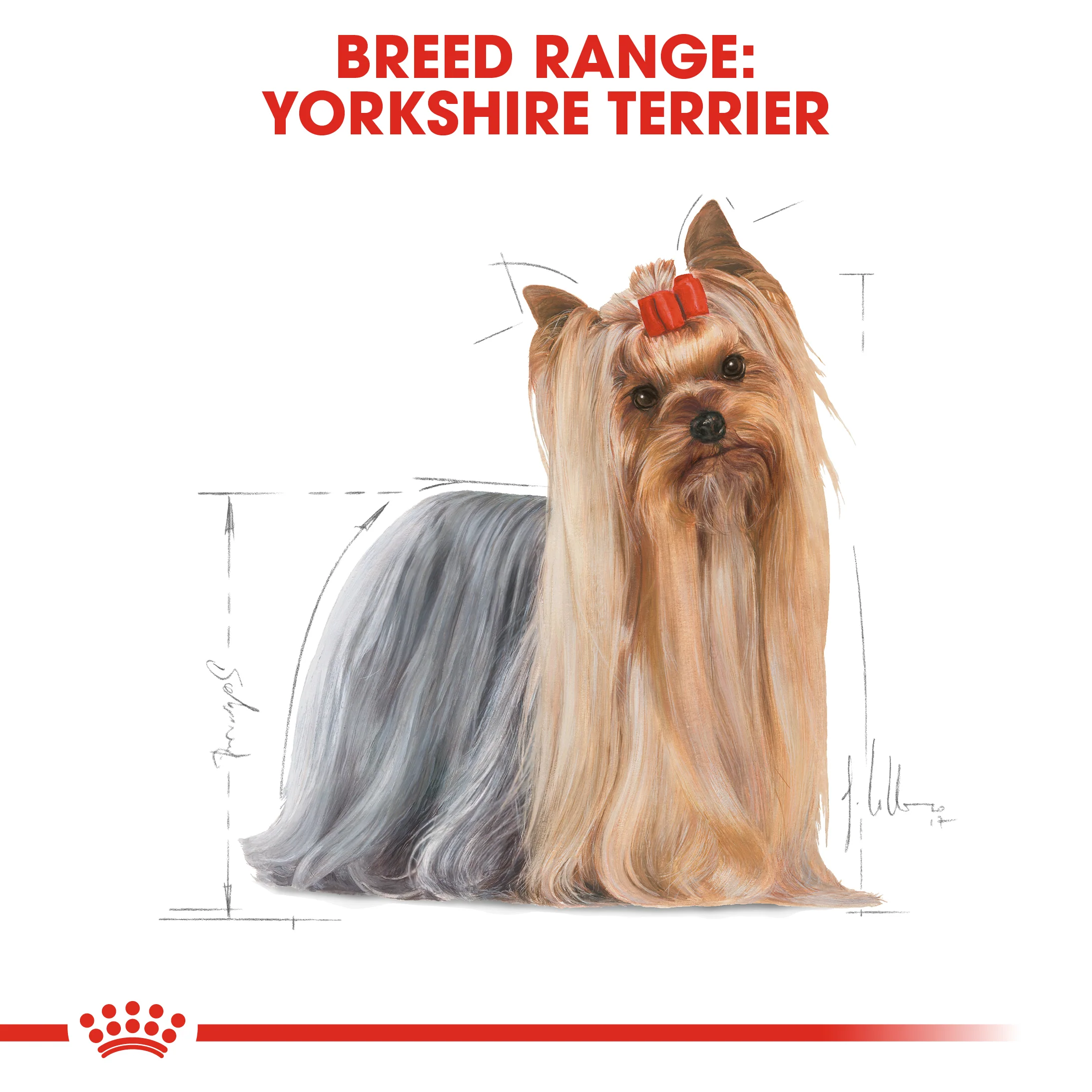 ROYAL CANIN® Yorkshire Terrier Adult Dry Dog Food - Image 10