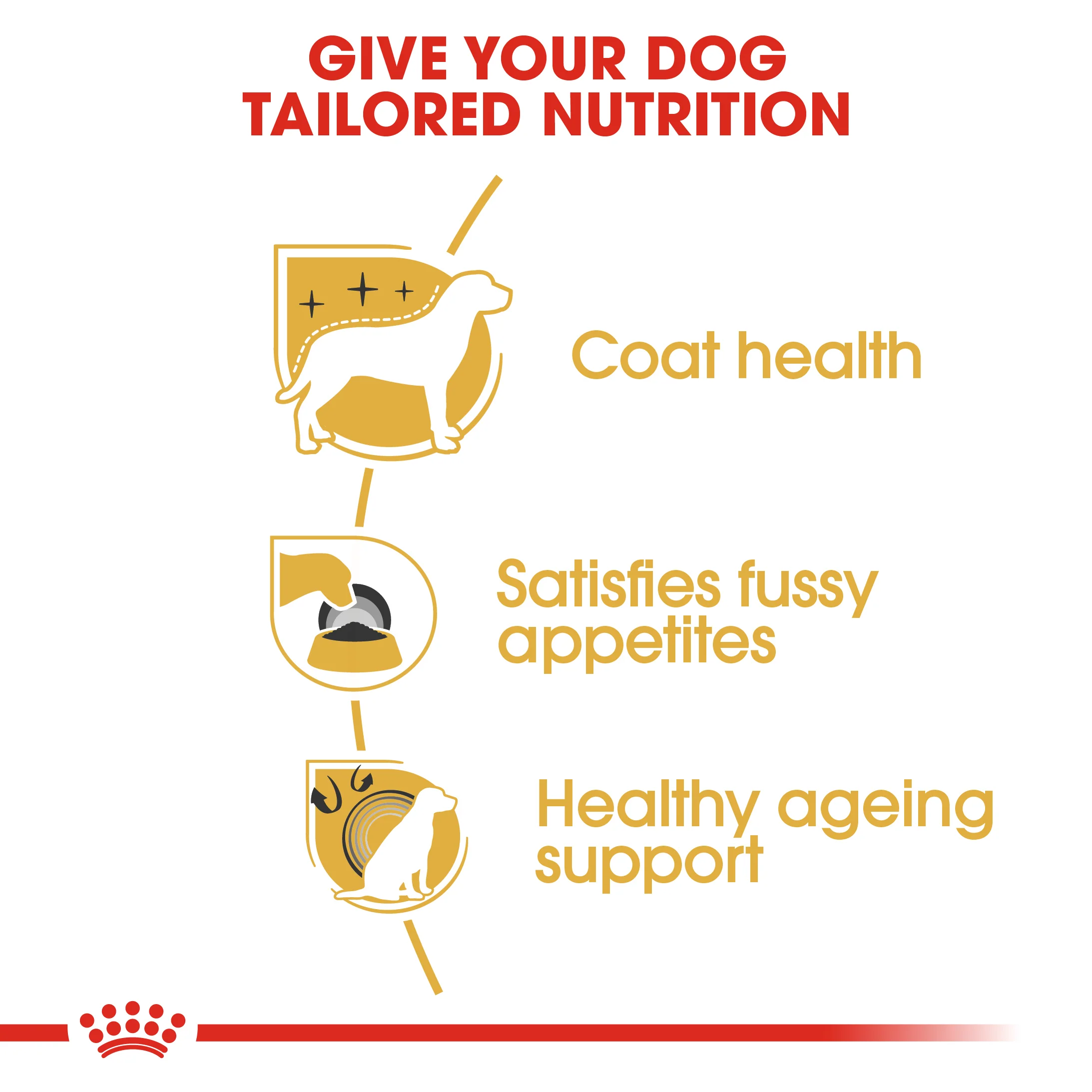 ROYAL CANIN® Yorkshire Terrier Adult Dry Dog Food - Image 6