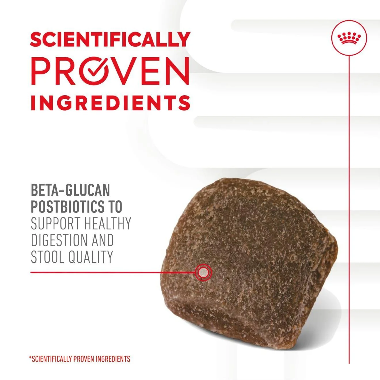Royal Canin Adult Dog Supplement for Digestion Soft Chews 160g - Image 4