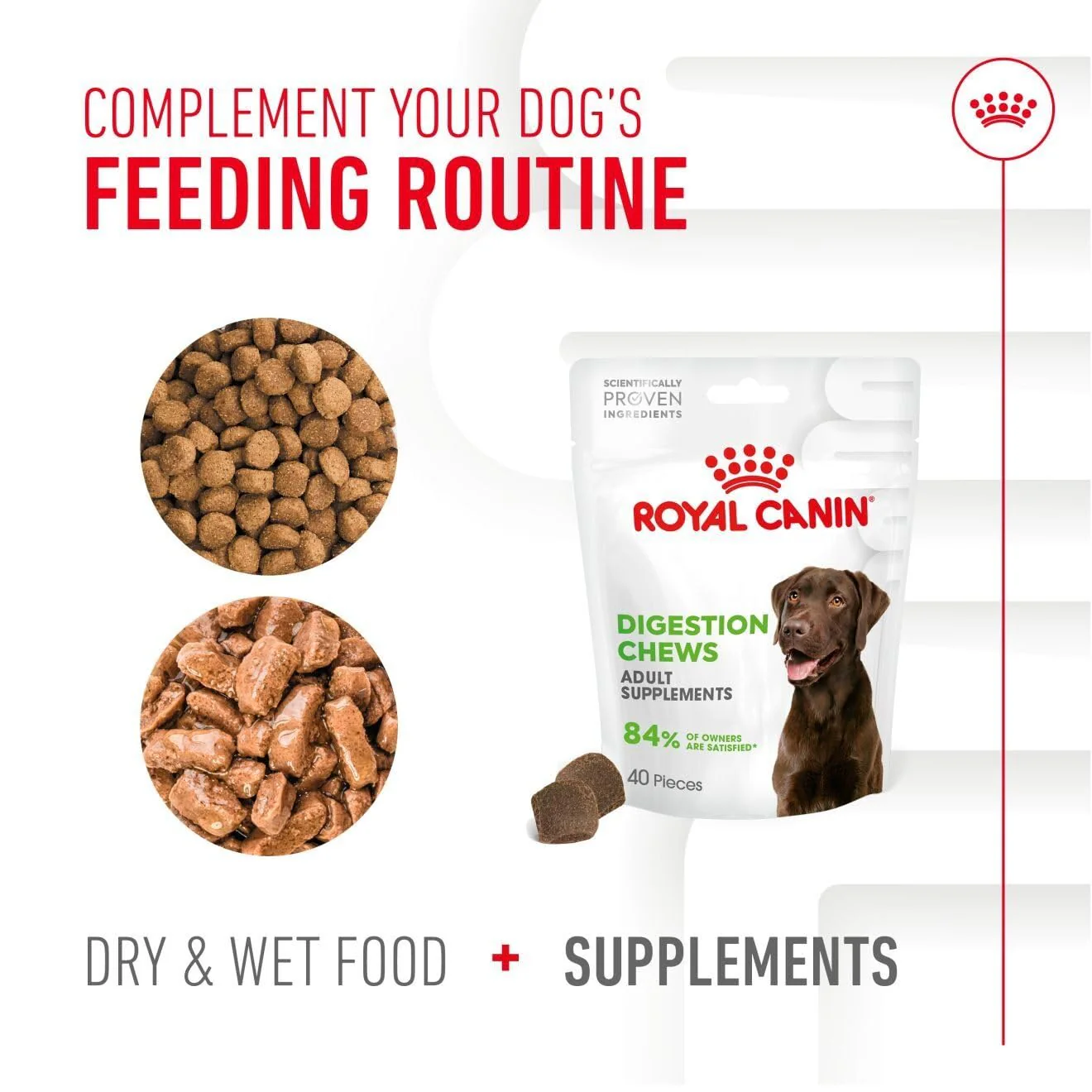 Royal Canin Adult Dog Supplement for Digestion Soft Chews 160g - Image 7