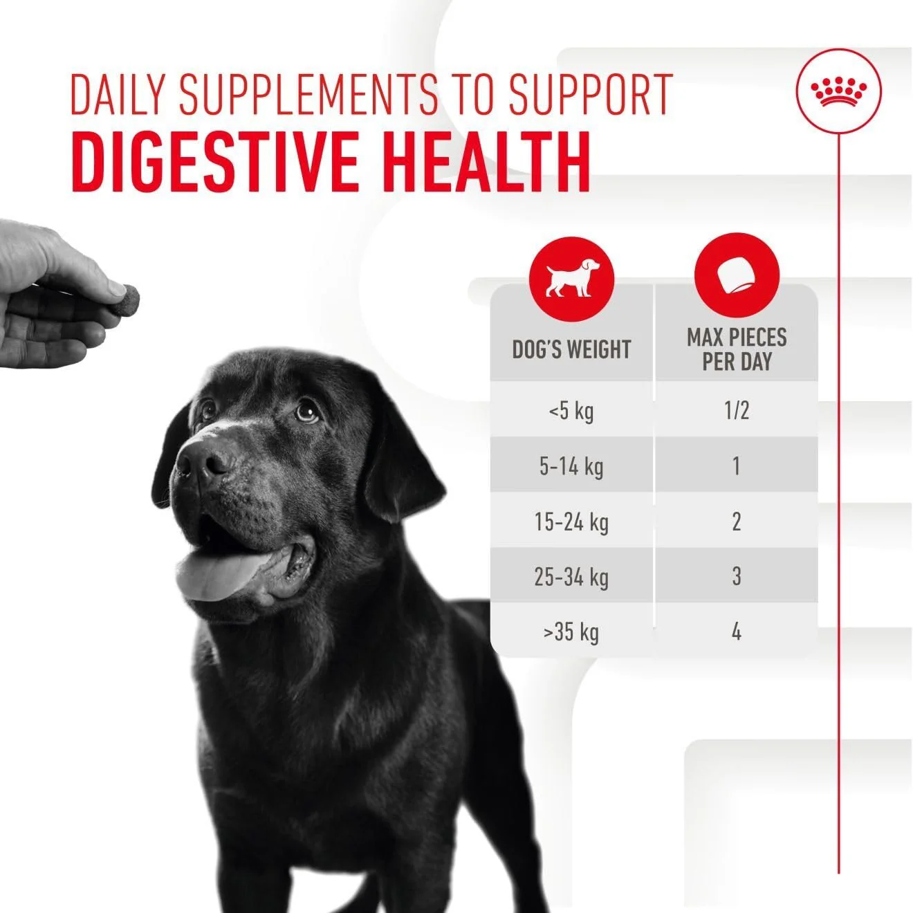 Royal Canin Adult Dog Supplement for Digestion Soft Chews 160g - Image 9