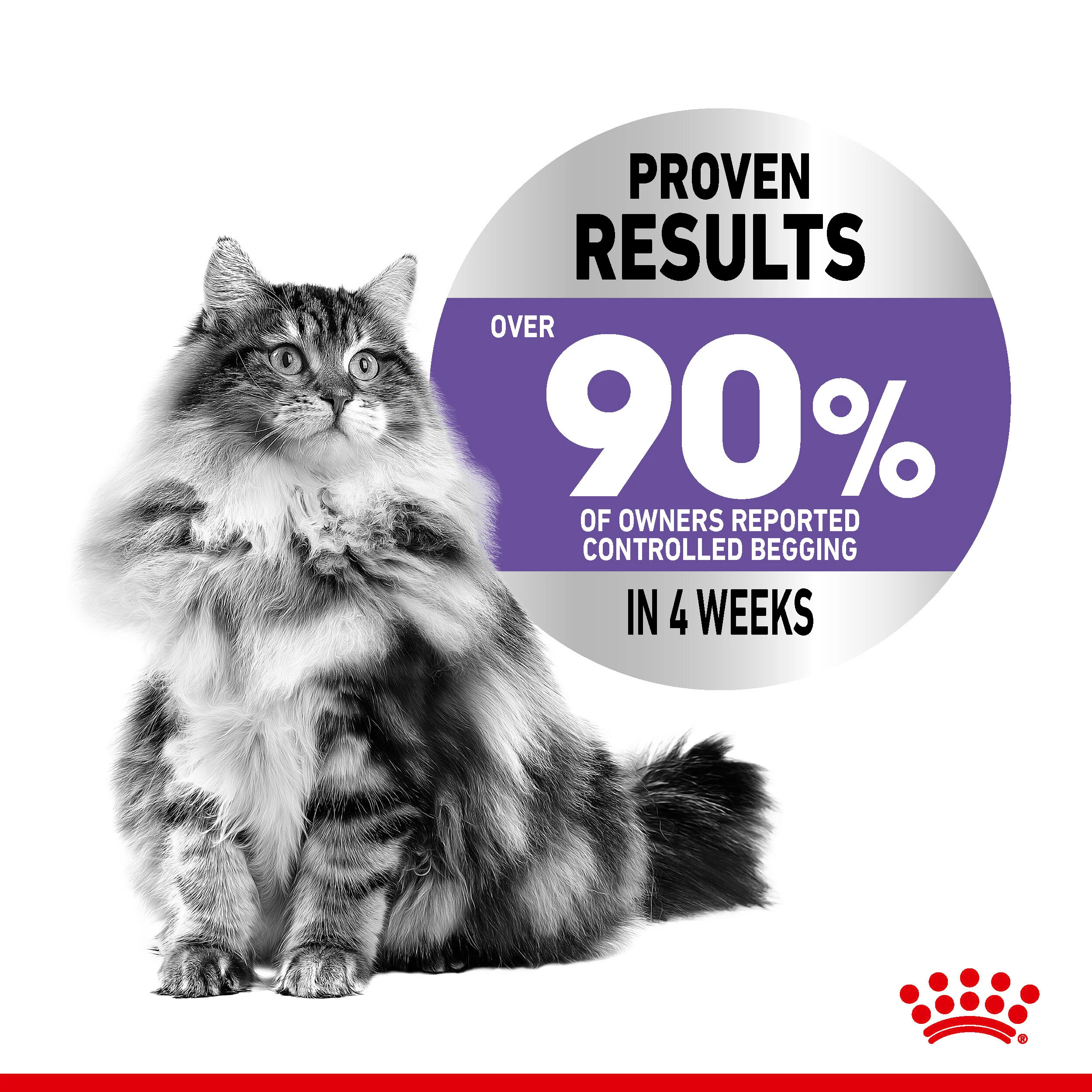 Royal Canin Appetite Control Care Dry Cat Food - Image 11
