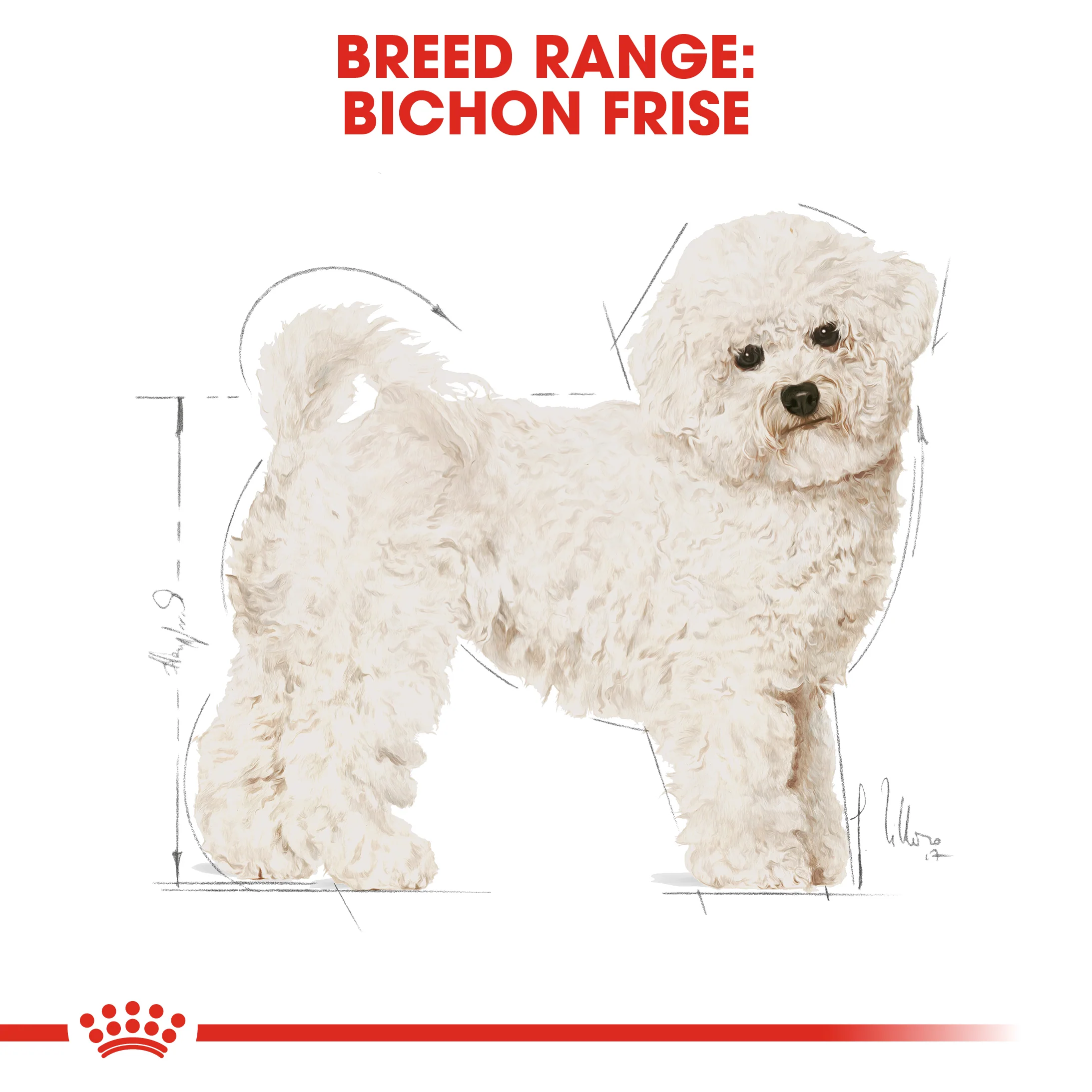 ROYAL CANIN® Bichon Frise Adult Dry Dog Food - Image 10