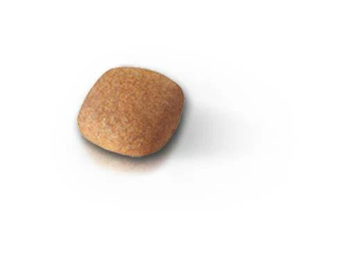 ROYAL CANIN® Bichon Frise Adult Dry Dog Food - Image 3