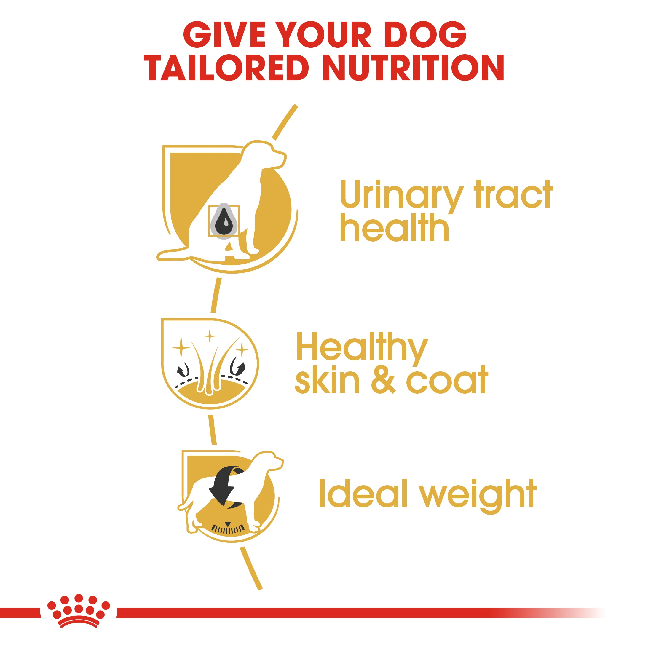 ROYAL CANIN® Bichon Frise Adult Dry Dog Food - Image 6