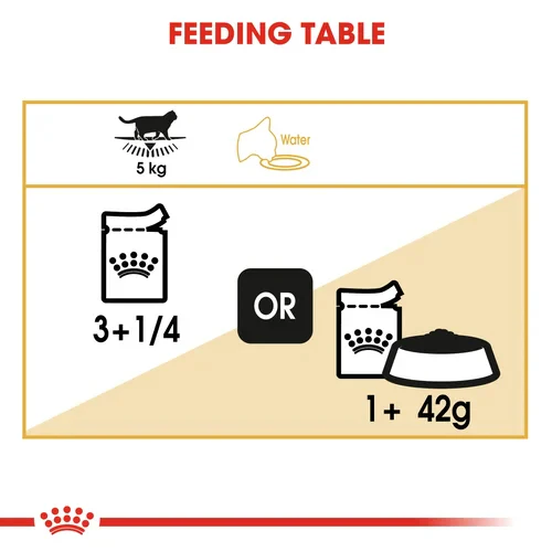ROYAL CANIN British Shorthair Adult In Gravy Wet Cat Food - Image 5