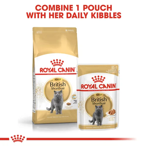 ROYAL CANIN British Shorthair Adult In Gravy Wet Cat Food - Image 6