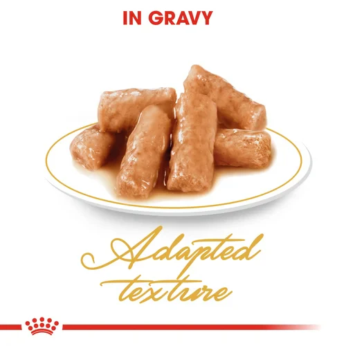ROYAL CANIN British Shorthair Adult In Gravy Wet Cat Food - Image 7