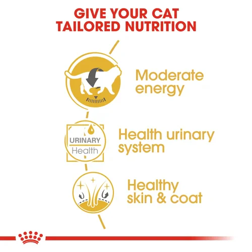 ROYAL CANIN British Shorthair Adult In Gravy Wet Cat Food - Image 8