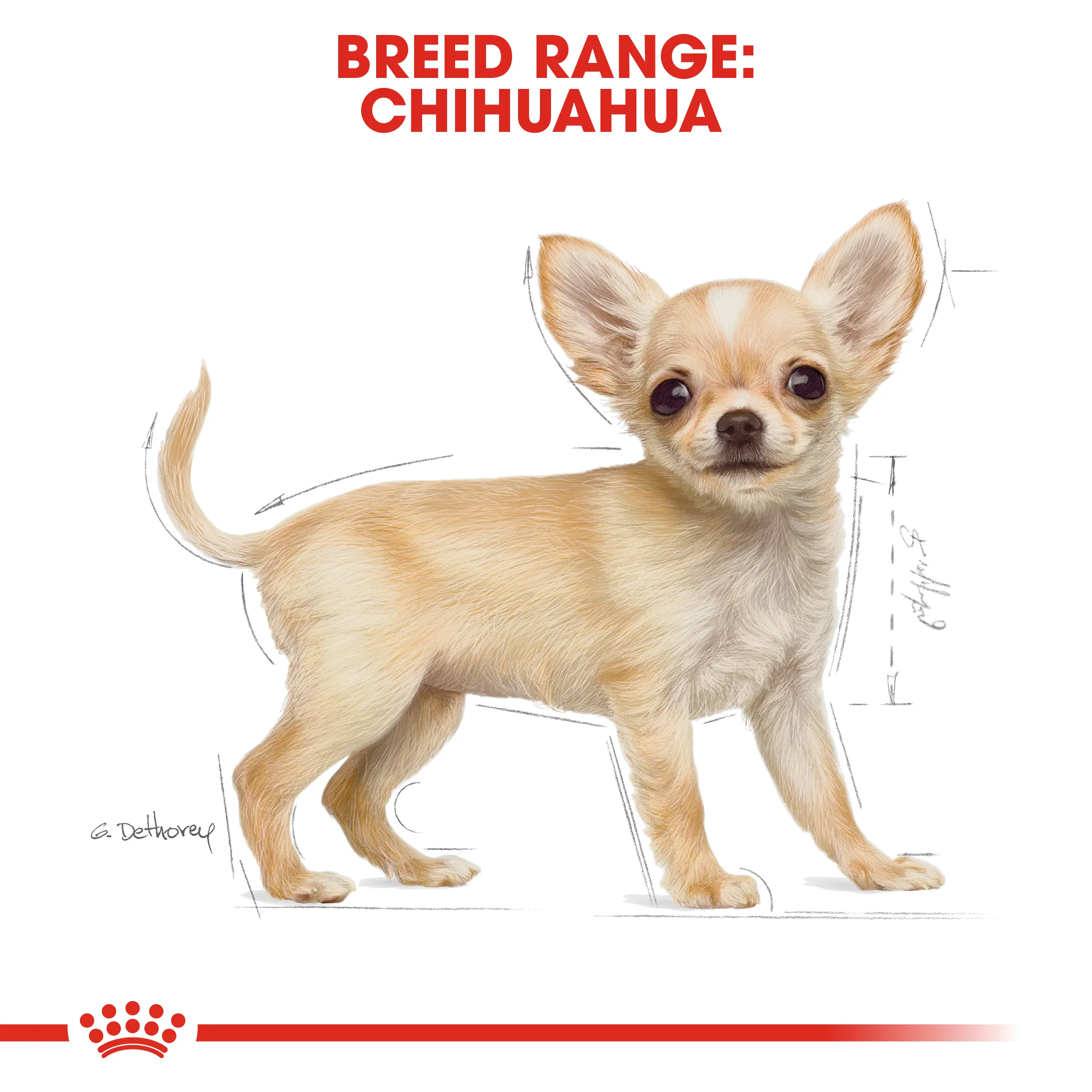 ROYAL CANIN® Chihuahua Puppy Dry Dog Food - Image 11