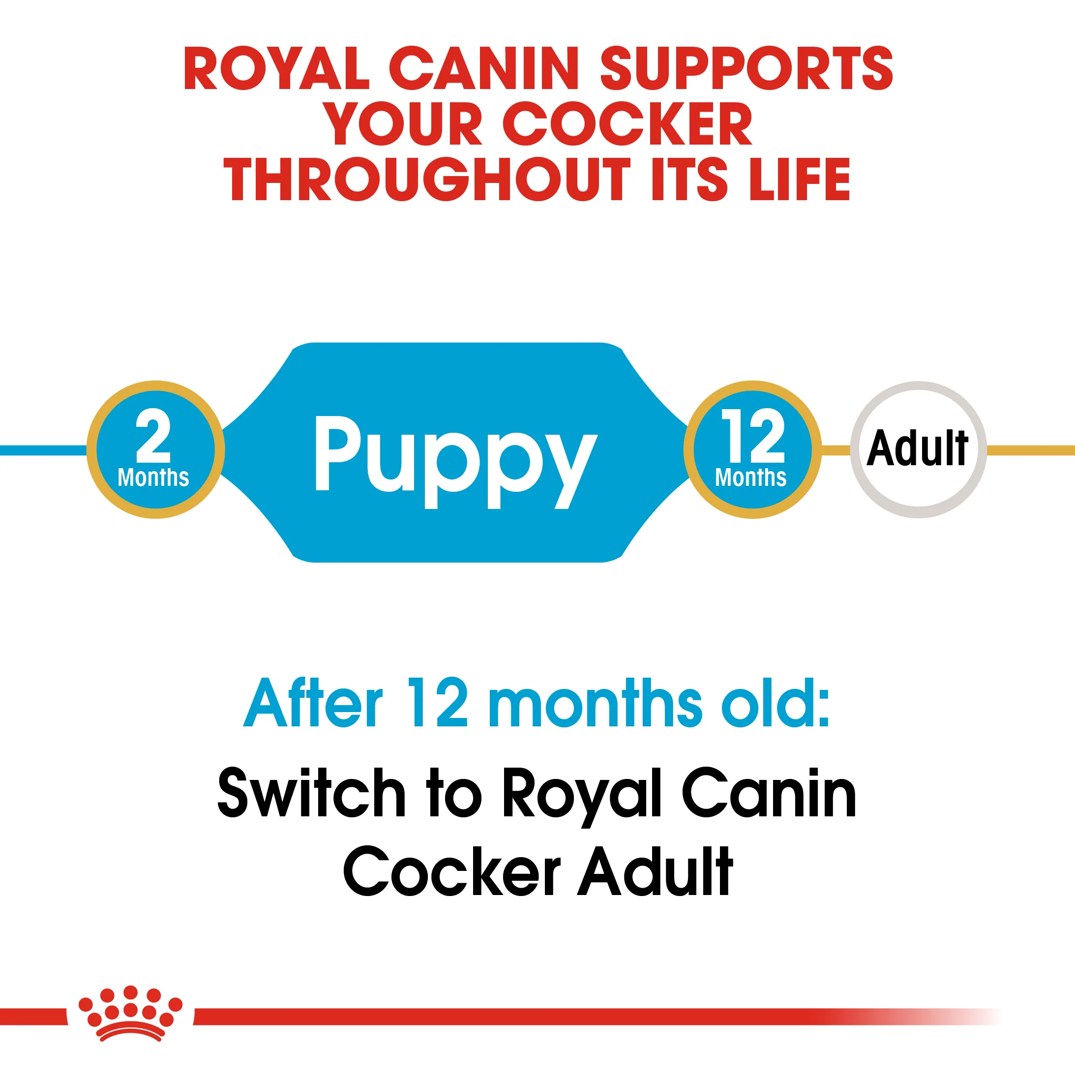 ROYAL CANIN® Cocker Puppy Dry Dog Food - Image 6