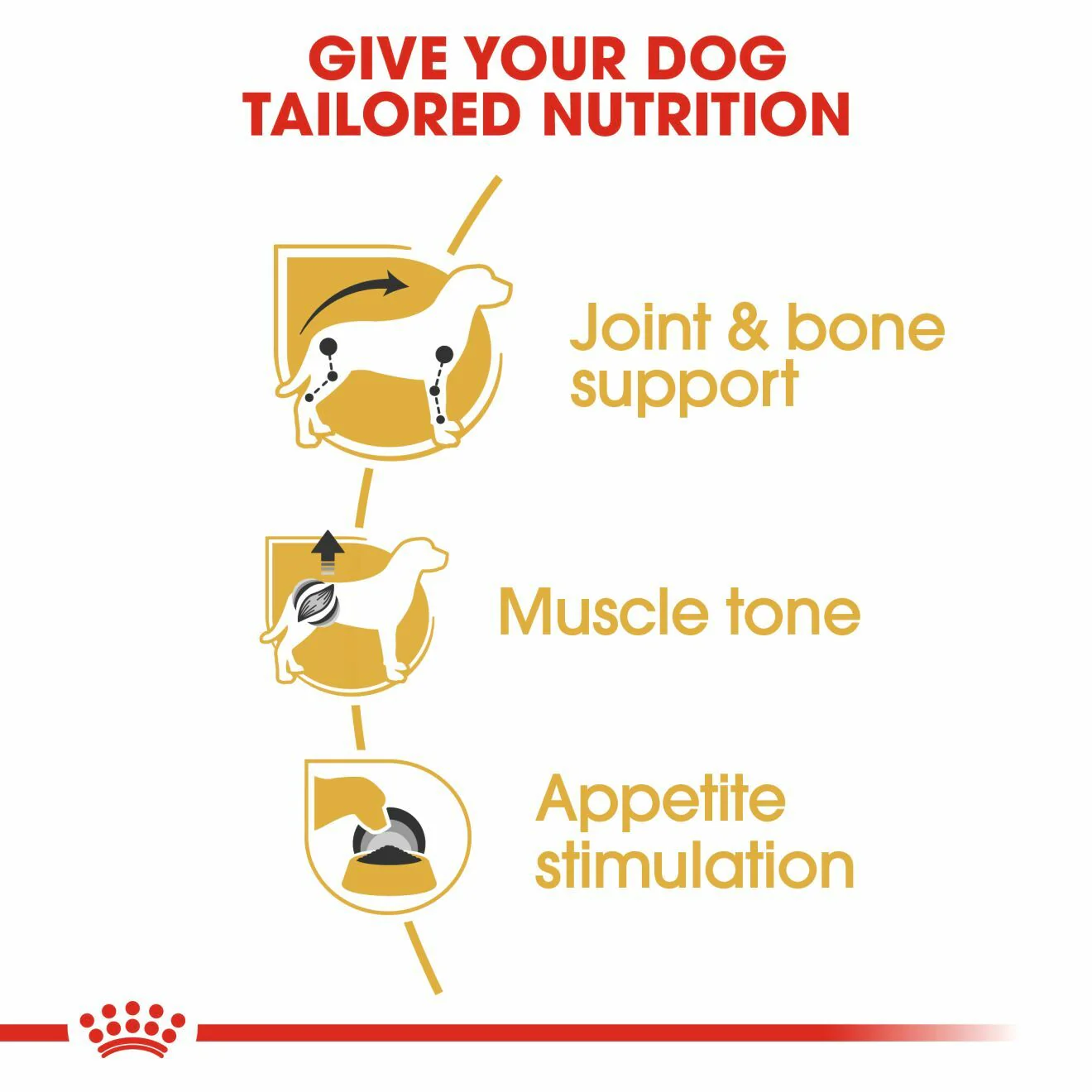 ROYAL CANIN Dachshund Adult Wet Dog Food - Image 6