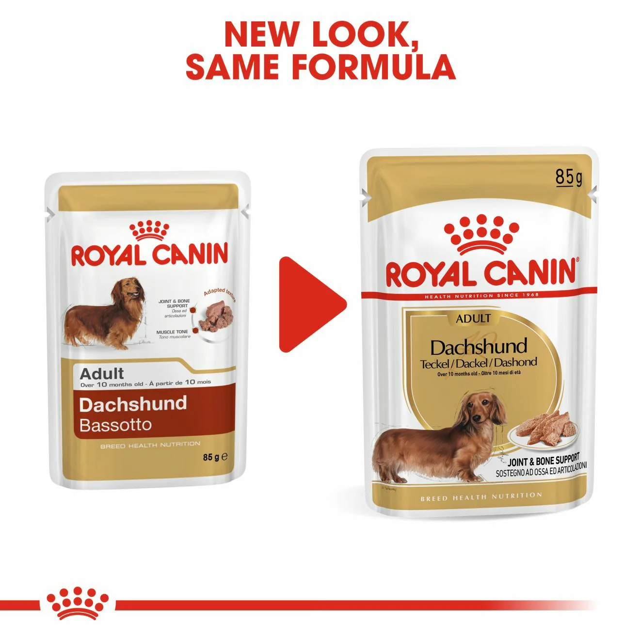 ROYAL CANIN Dachshund Adult Wet Dog Food - Image 7
