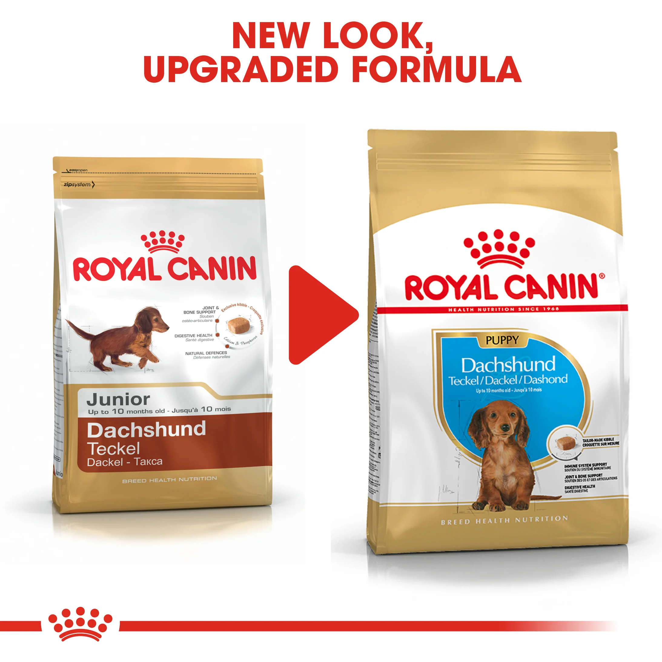 ROYAL CANIN® Dachshund Puppy Dry Dog Food - Image 10