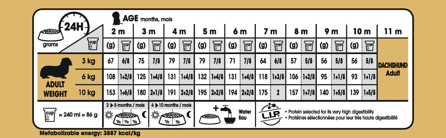 ROYAL CANIN® Dachshund Puppy Dry Dog Food - Image 3