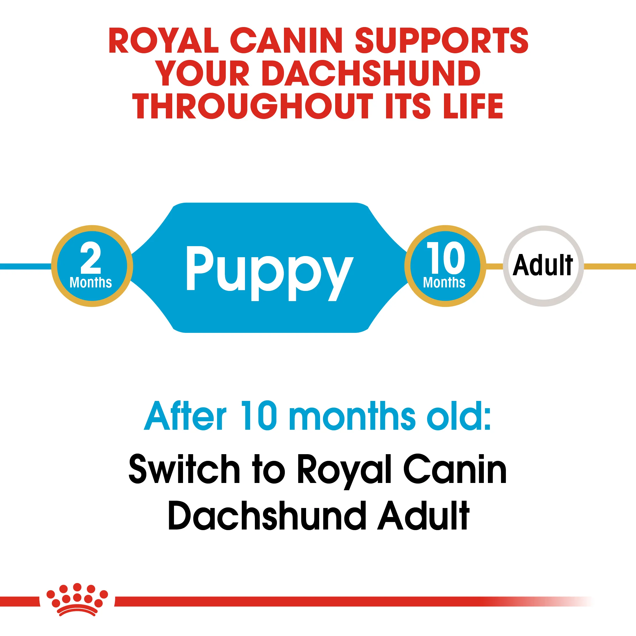 ROYAL CANIN® Dachshund Puppy Dry Dog Food - Image 6