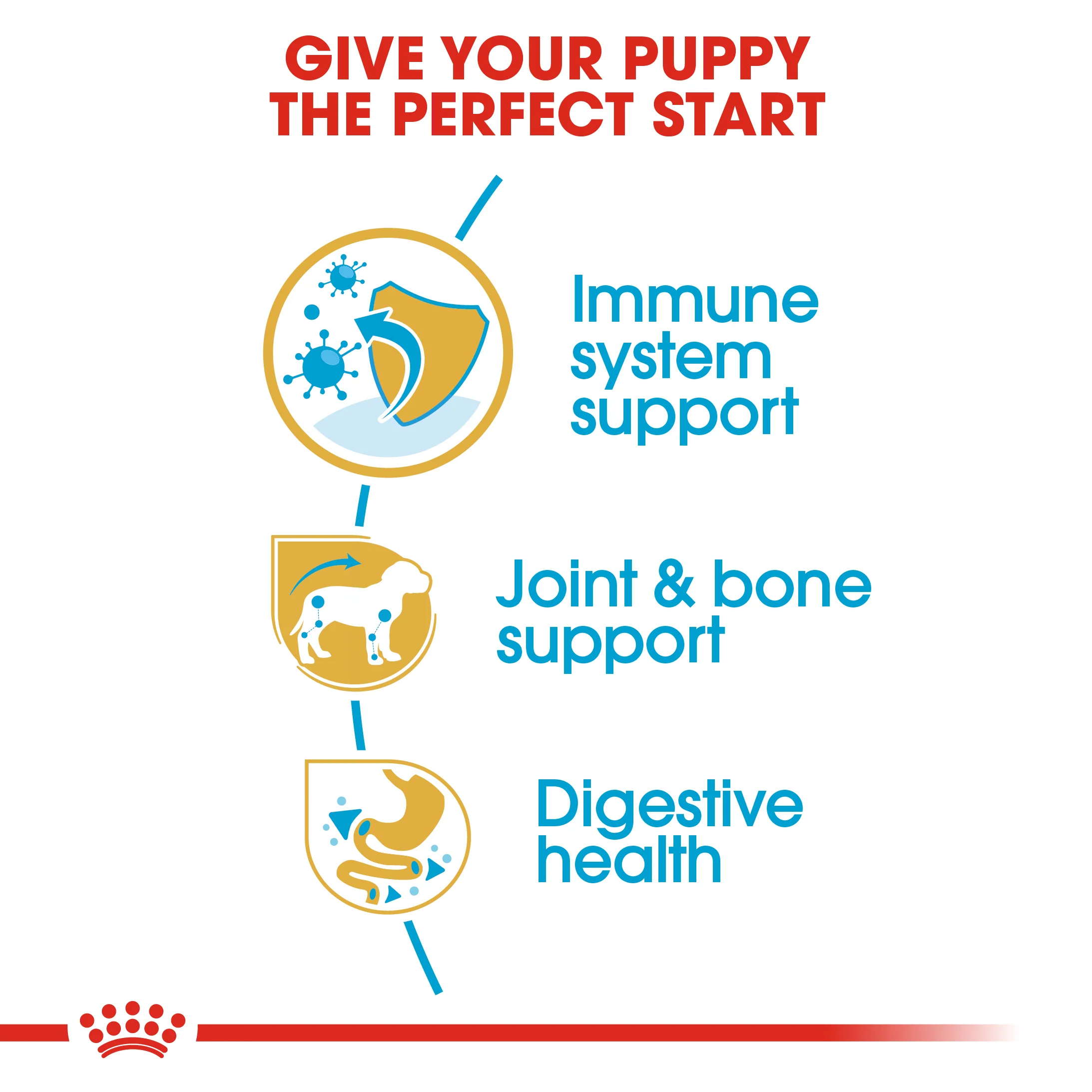 ROYAL CANIN® Dachshund Puppy Dry Dog Food - Image 7