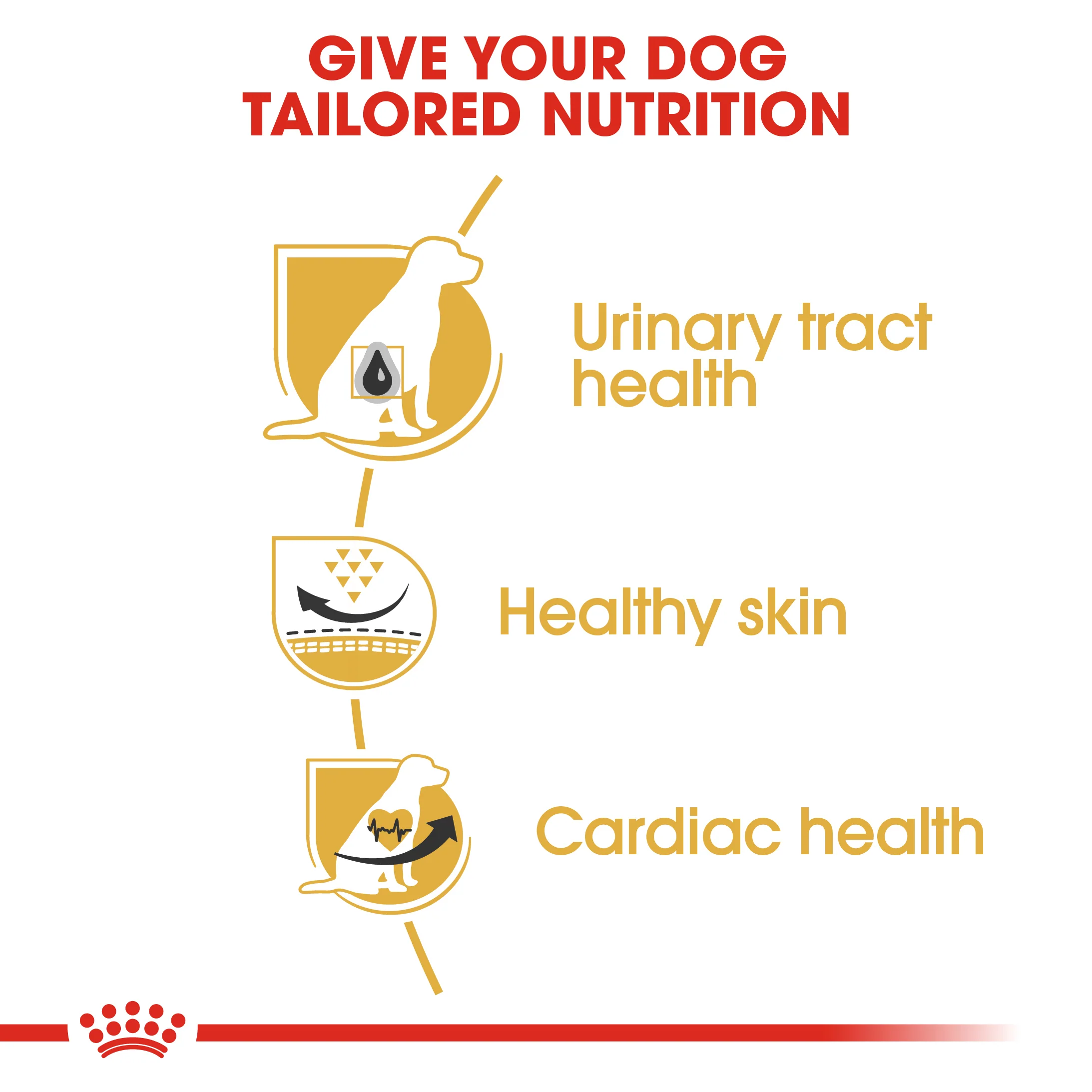 ROYAL CANIN® Dalmatian Adult Dry Dog Food - Image 6