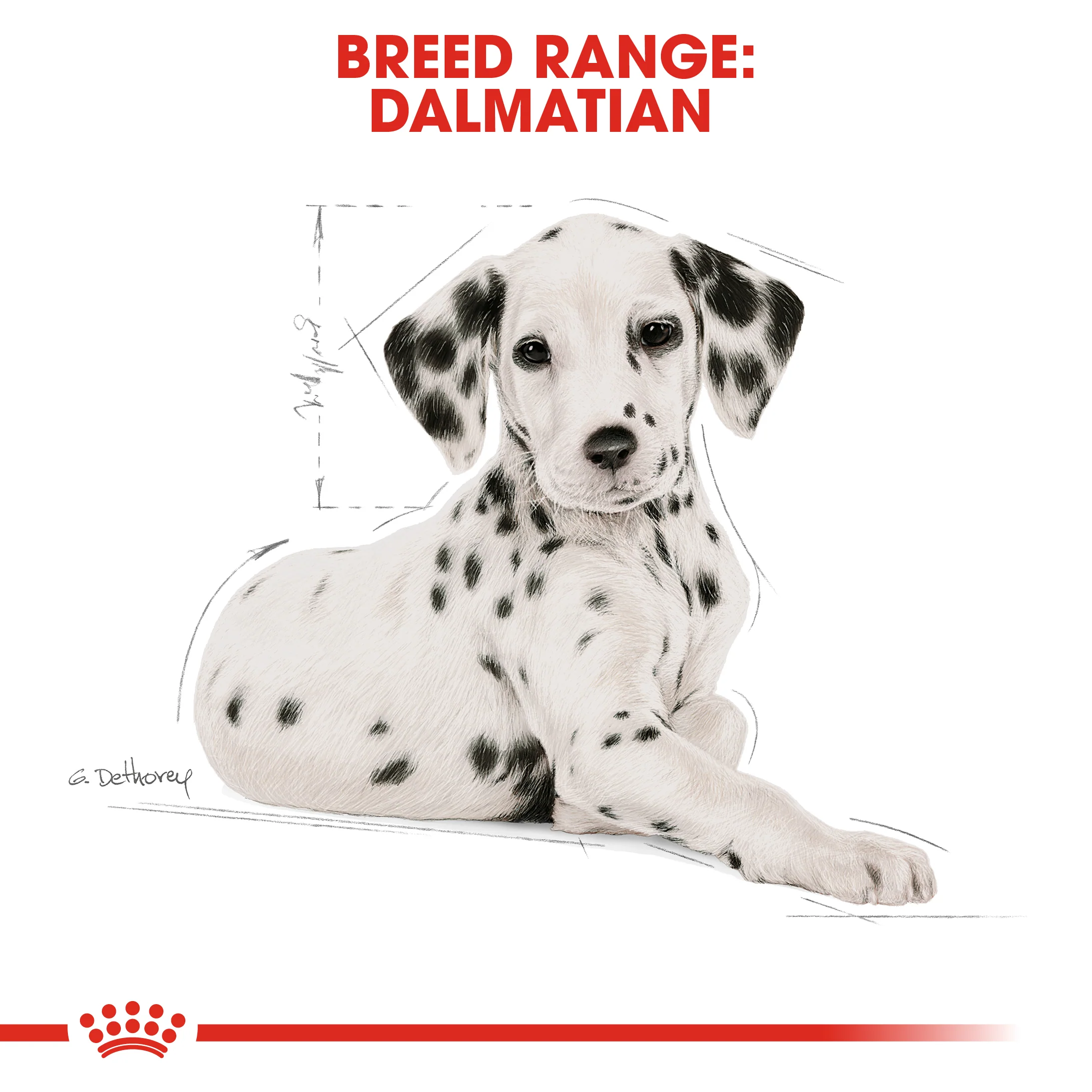 ROYAL CANIN® Dalmatian Puppy Dry Dog Food - Image 10