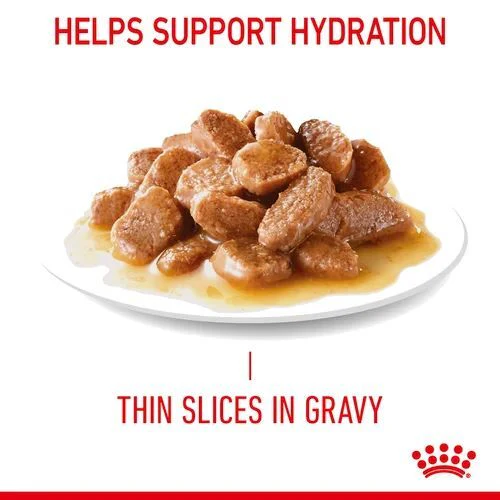 ROYAL CANIN Digestive Care In Gravy Adult Wet Cat Food - Image 3
