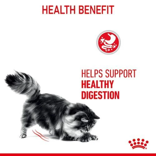 ROYAL CANIN Digestive Care In Gravy Adult Wet Cat Food - Image 9