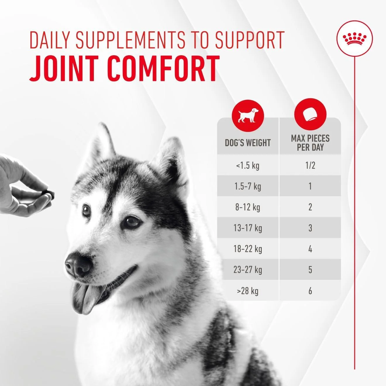 Royal Canin Dog Supplement for Joint & Ageing Soft Chews 240g - Image 9