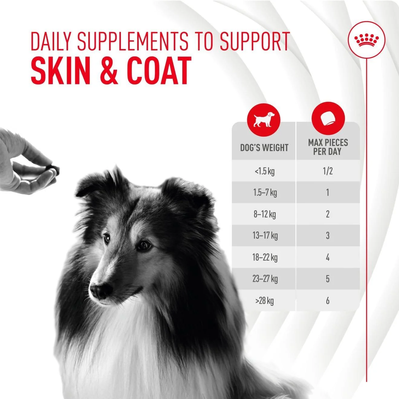 Royal Canin Dog Supplement for Skin & Coat Soft Chews 240g - Image 9