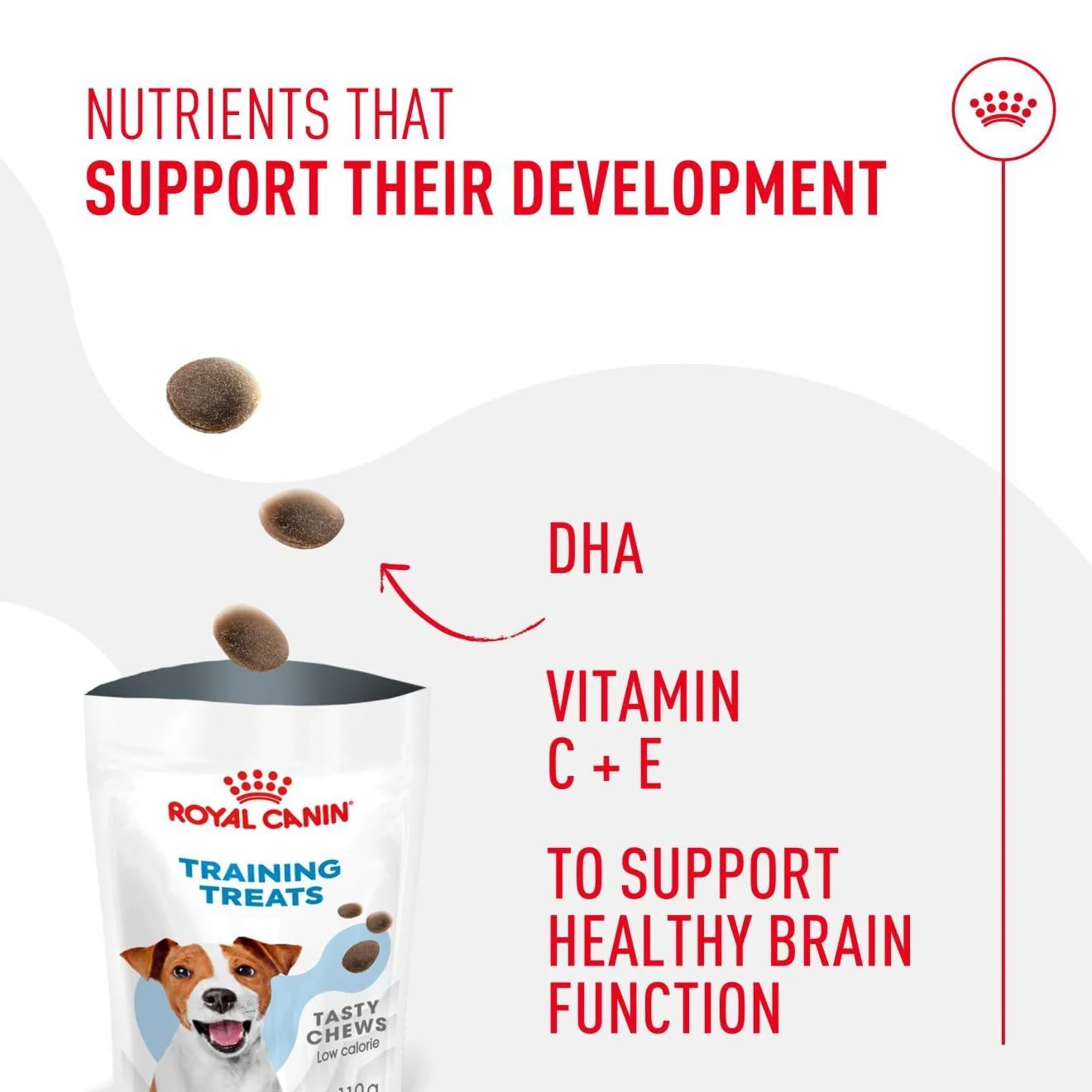 Royal Canin Dog Treats for Training 110g Puppy & Adult Supplement - Image 4