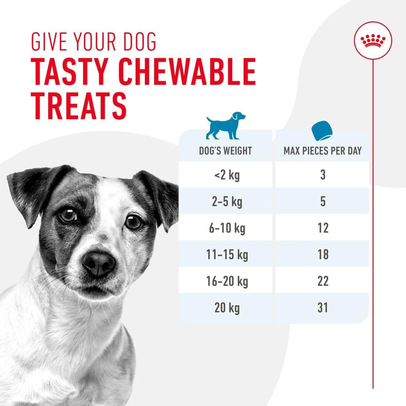 Royal Canin Dog Treats for Training 110g Puppy & Adult Supplement - Image 8