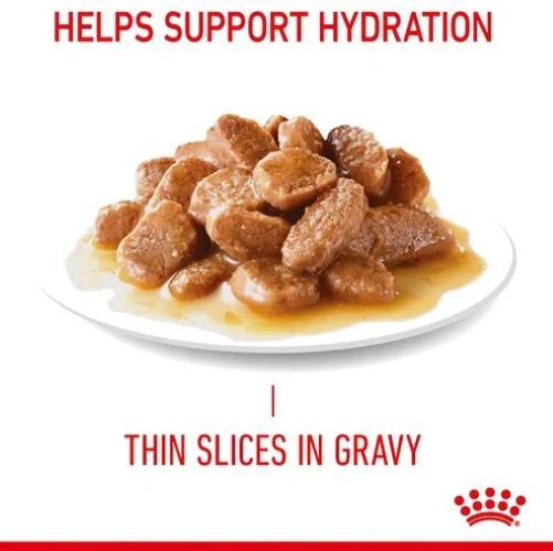 ROYAL CANIN Hair & Skin Care In Gravy Adult Wet Cat Food - Image 3