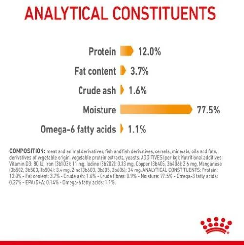 ROYAL CANIN Hair & Skin Care In Jelly Adult Wet Cat Food - Image 5