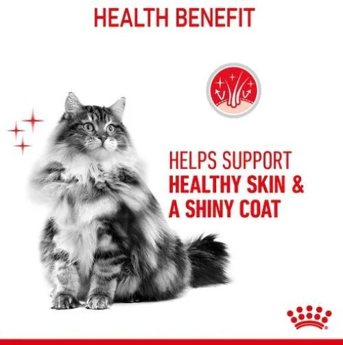 ROYAL CANIN Hair & Skin Care In Jelly Adult Wet Cat Food - Image 9