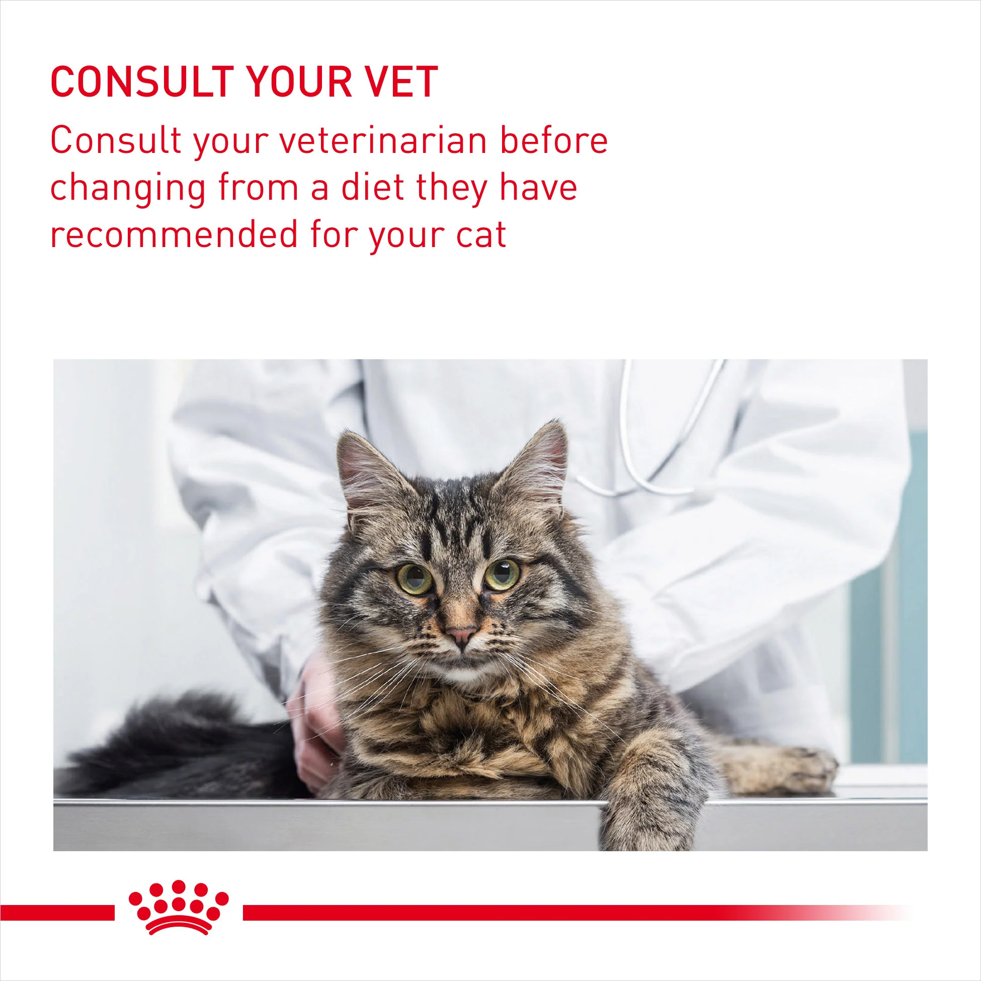 ROYAL CANIN Hairball Care In Gravy Adult Wet Cat Food - Image 10