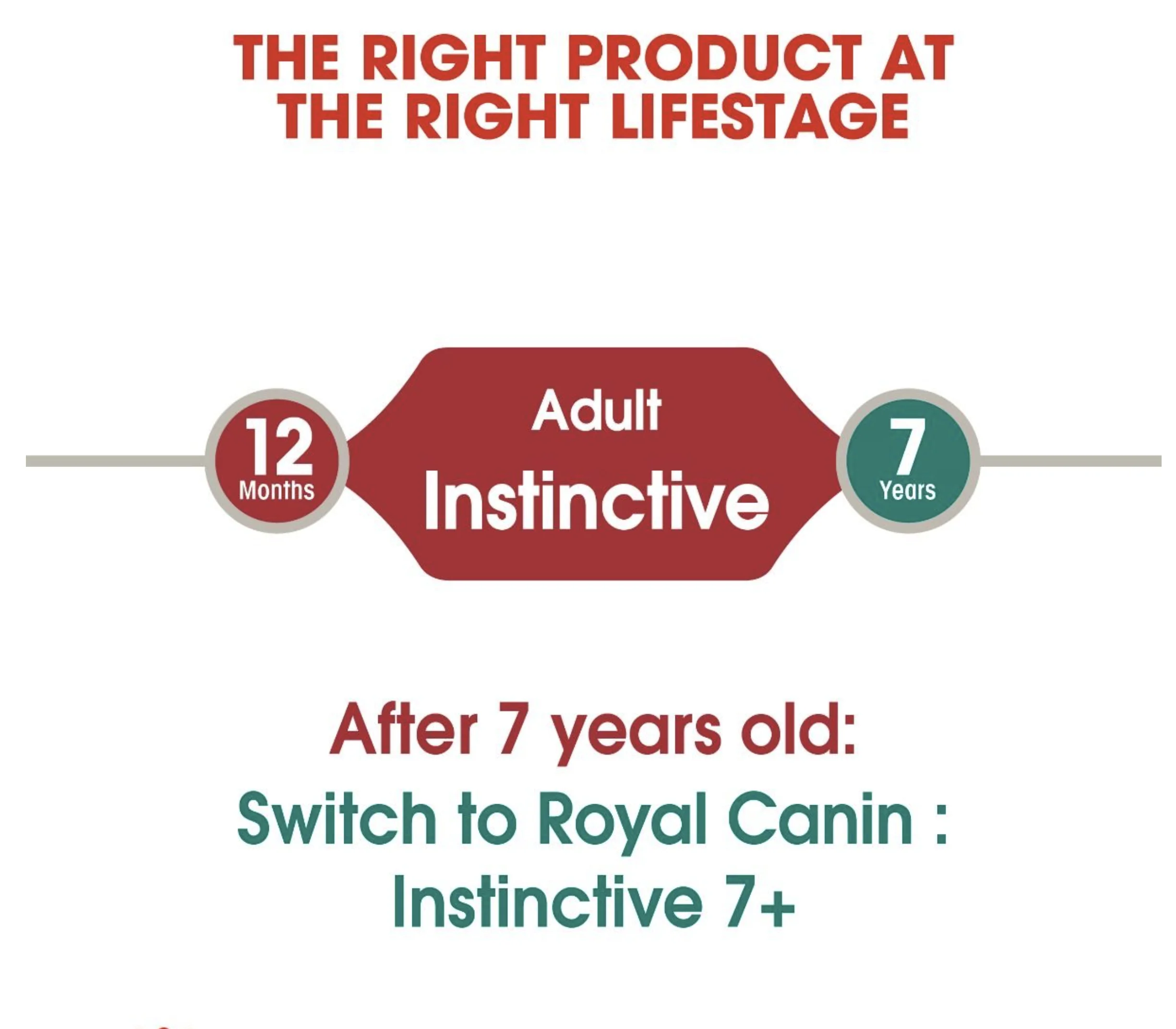 ROYAL CANIN Instinctive Adult In Gravy Wet Cat Food - Image 9