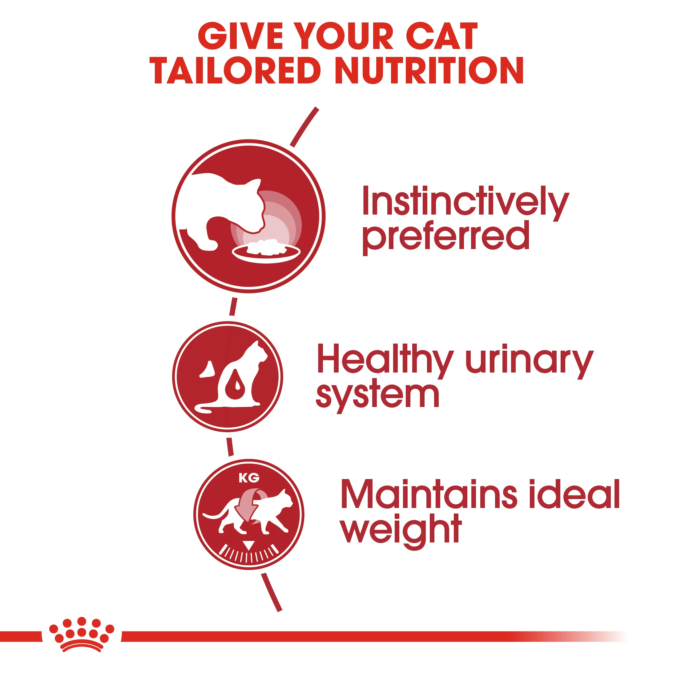 ROYAL CANIN Instinctive Adult In Jelly Wet Cat Food - Image 11