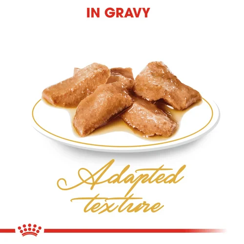 ROYAL CANIN Maine Coon Adult In Gravy Wet Cat Food - Image 3