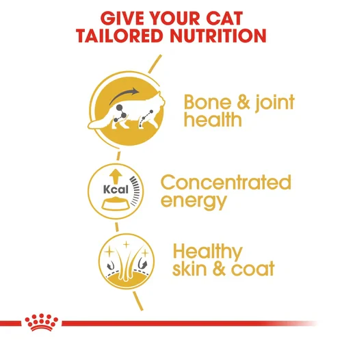 ROYAL CANIN Maine Coon Adult In Gravy Wet Cat Food - Image 4