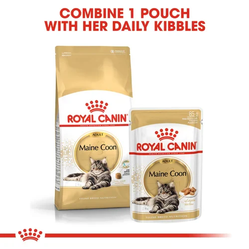 ROYAL CANIN Maine Coon Adult In Gravy Wet Cat Food - Image 5