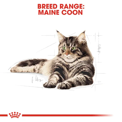 ROYAL CANIN Maine Coon Adult In Gravy Wet Cat Food - Image 8