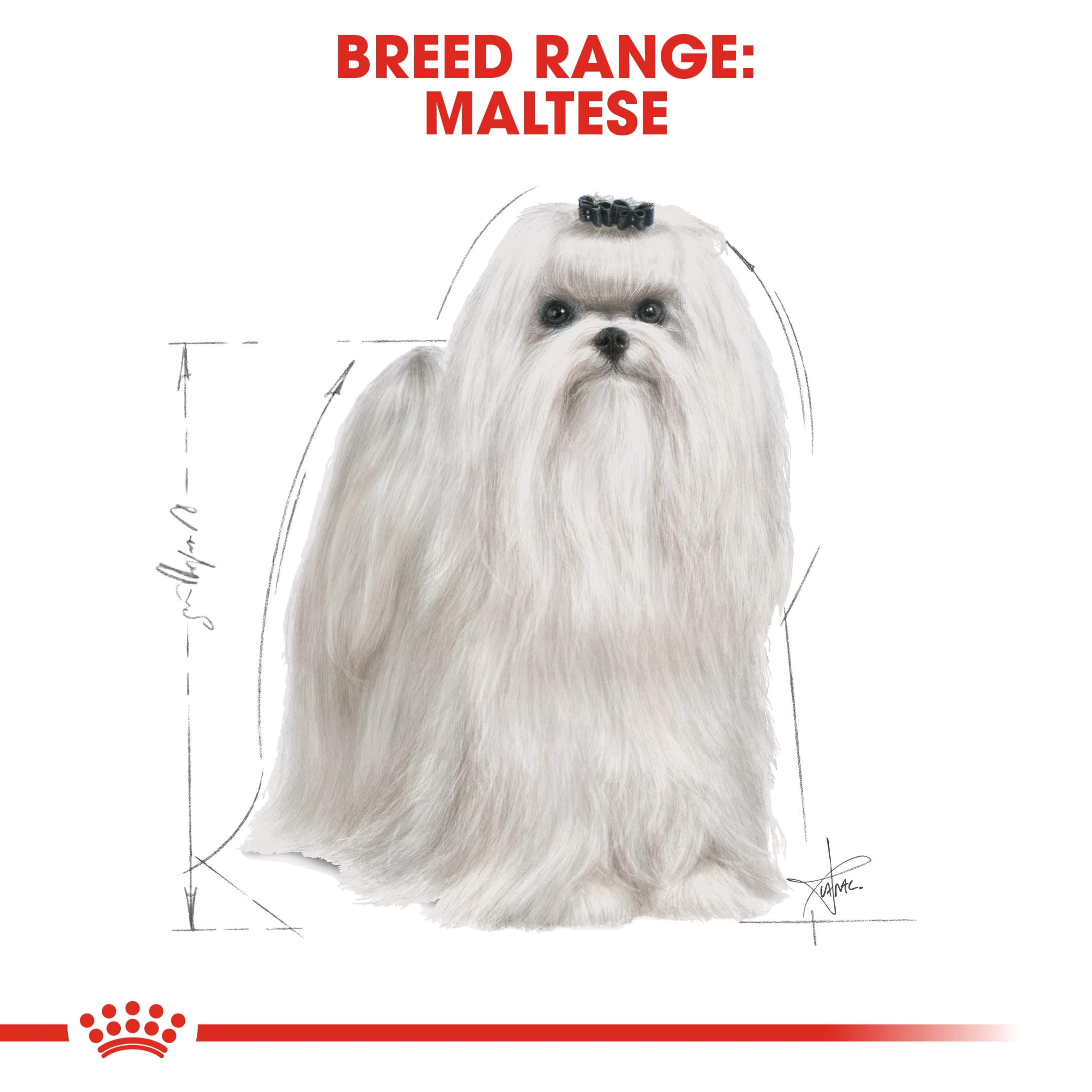 ROYAL CANIN® Maltese Adult Dry Dog Food - Image 10