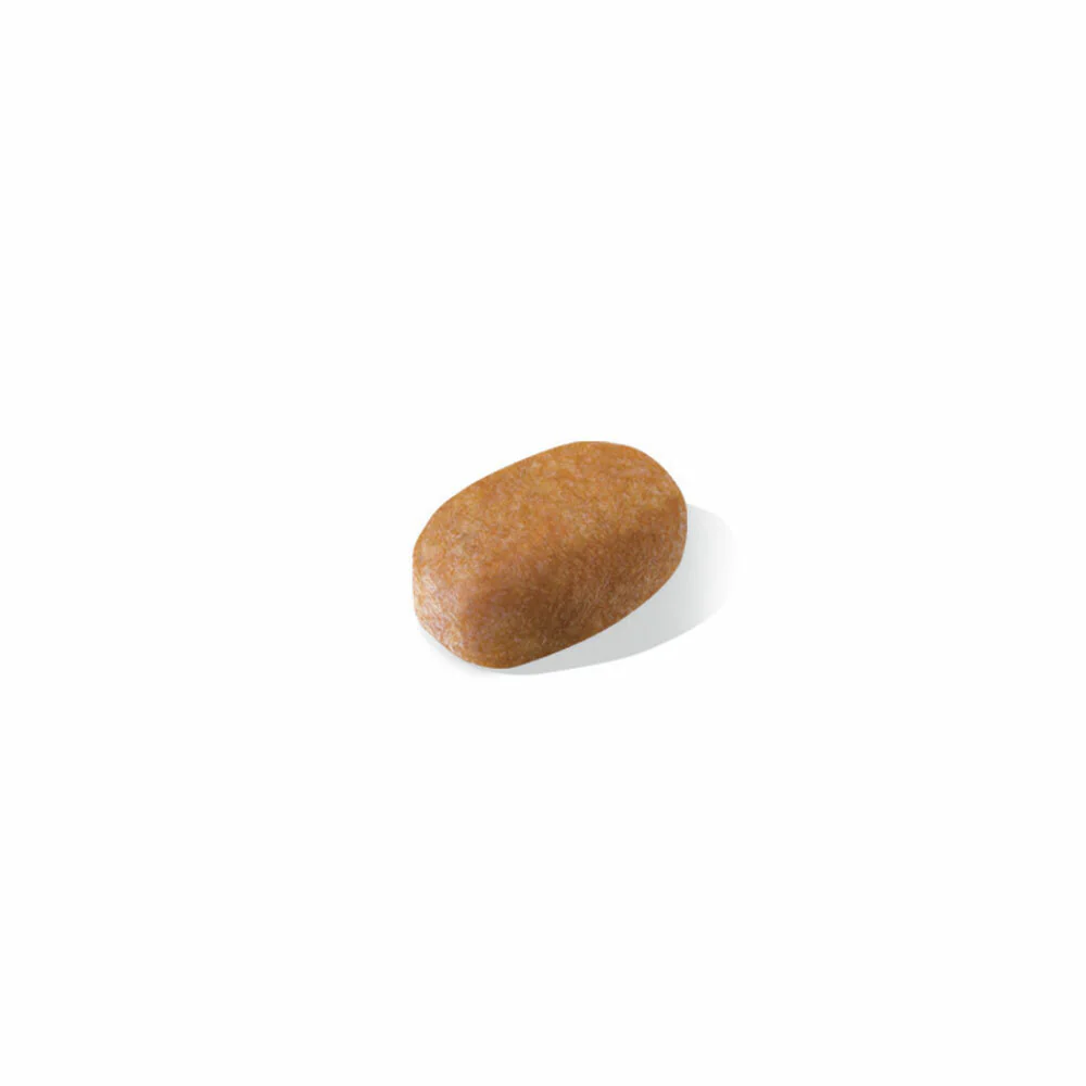 ROYAL CANIN® Maltese Adult Dry Dog Food - Image 3
