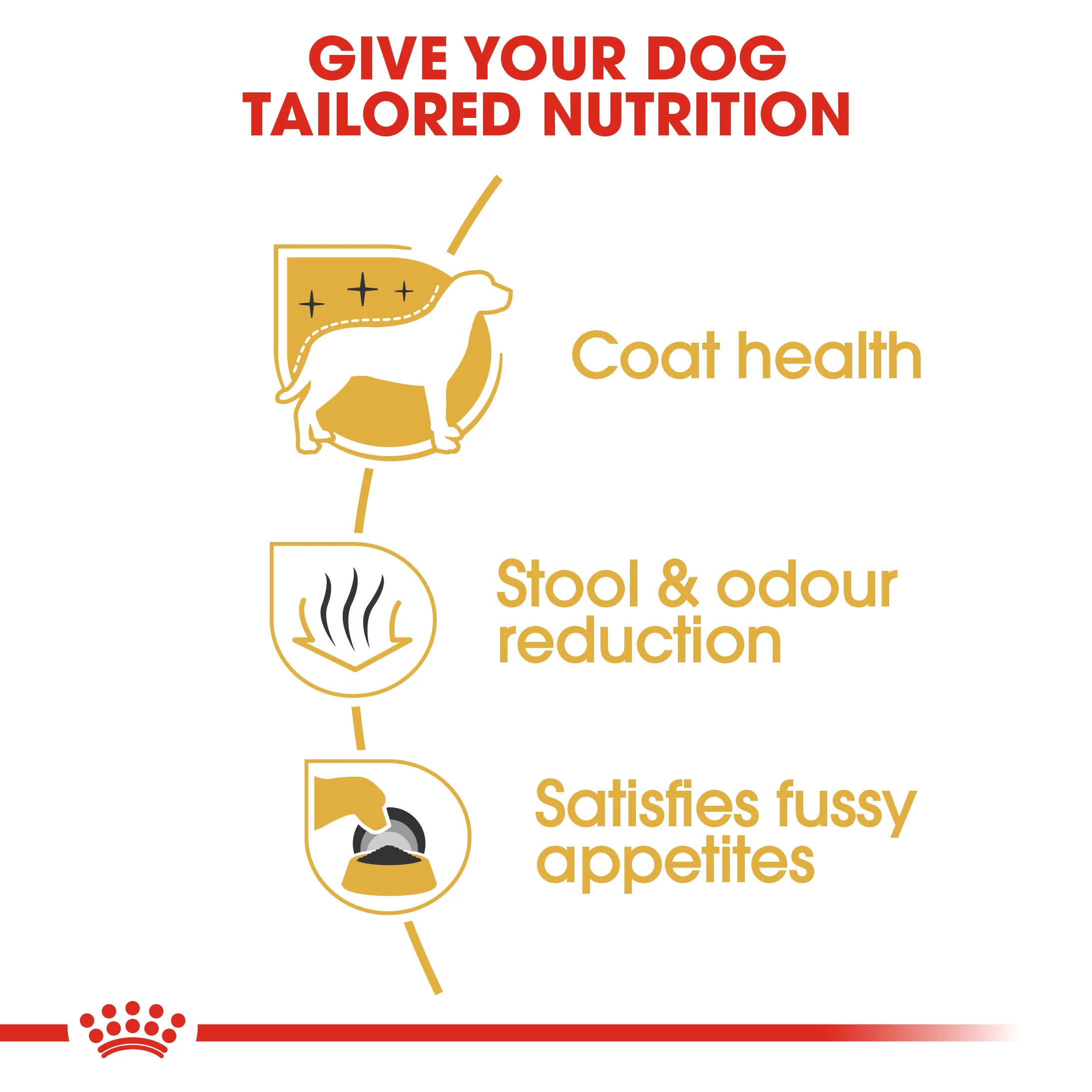 ROYAL CANIN® Maltese Adult Dry Dog Food - Image 6