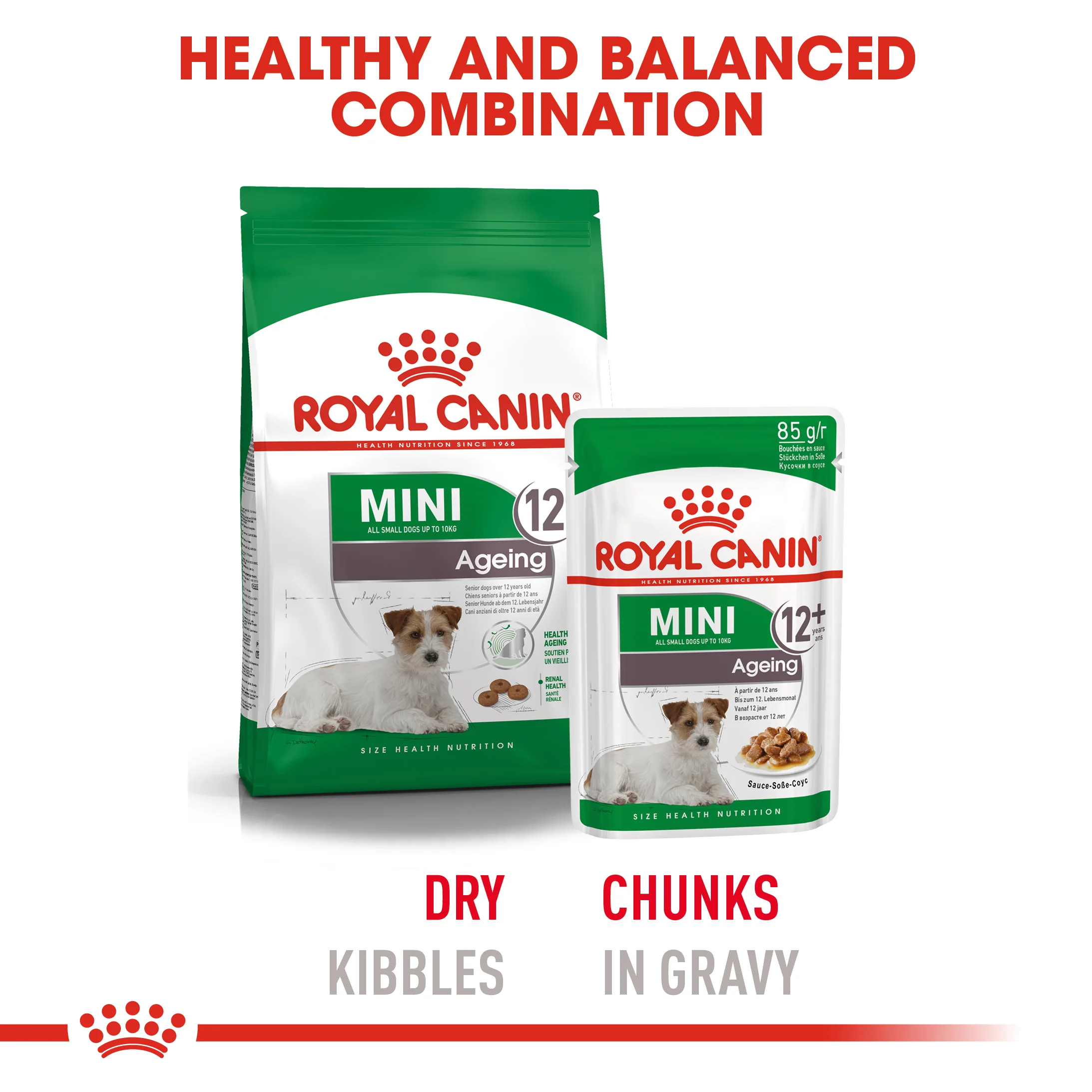 ROYAL CANIN® Mini Ageing 12+ Senior Dry Dog Food - Image 11