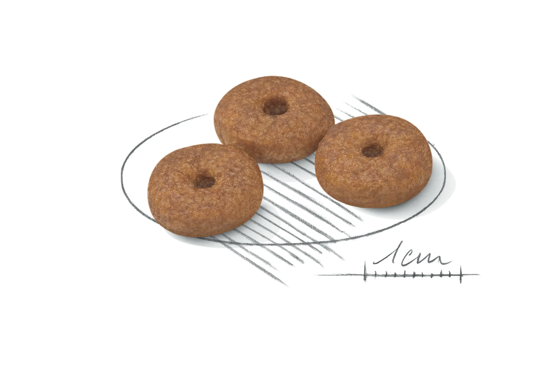 ROYAL CANIN® Mini Ageing 12+ Senior Dry Dog Food - Image 3