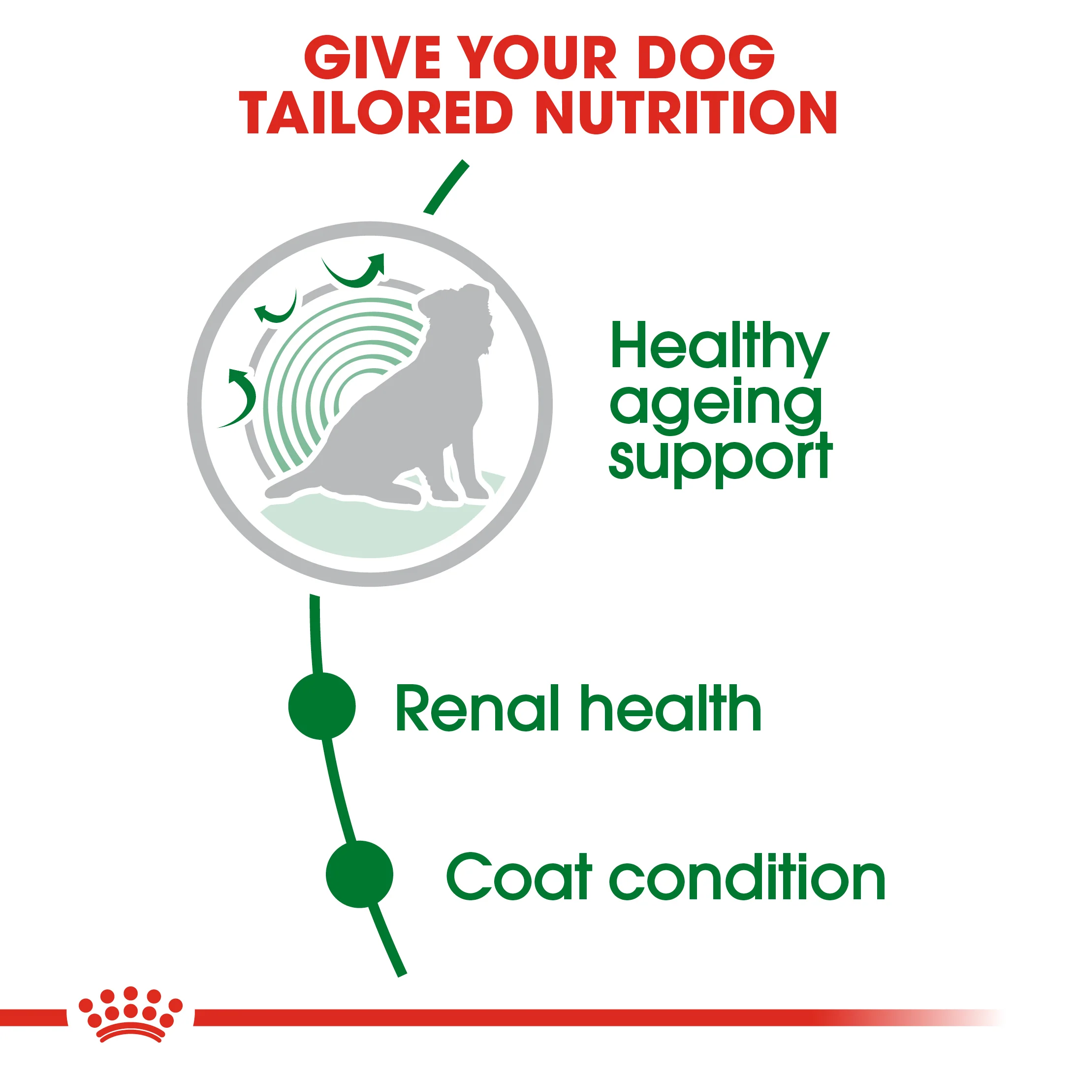 ROYAL CANIN® Mini Ageing 12+ Senior Dry Dog Food - Image 6