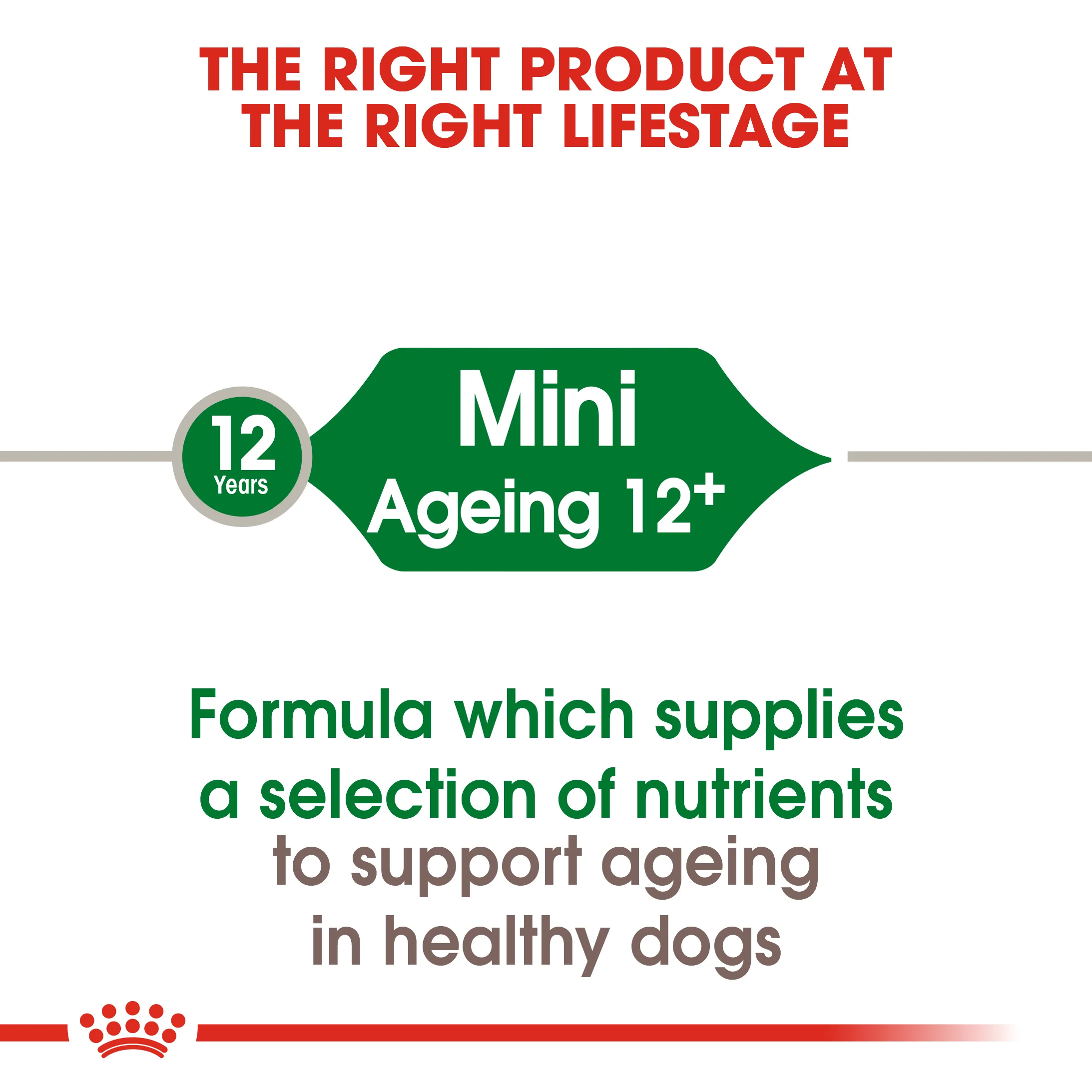 ROYAL CANIN® Mini Ageing 12+ Senior Dry Dog Food - Image 7