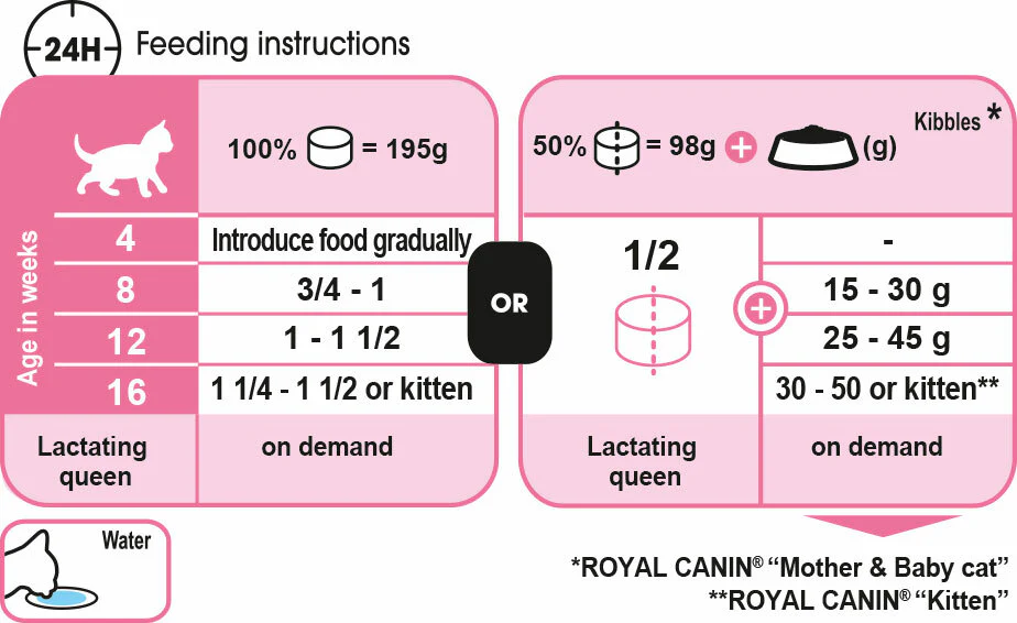 ROYAL CANIN® Mother And Babycat Adult And Kitten Wet Cat Food - Image 3