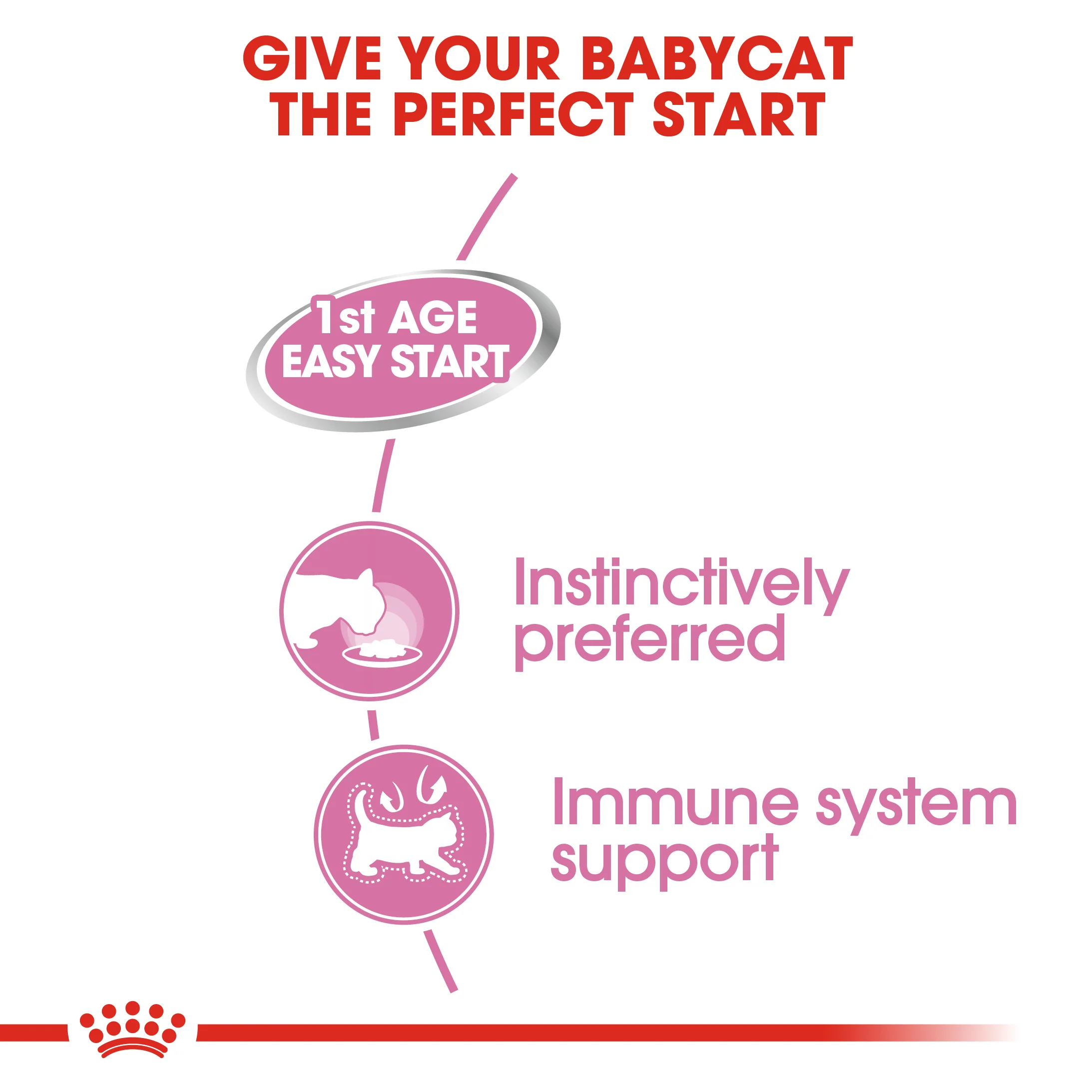 ROYAL CANIN® Mother And Babycat Adult And Kitten Wet Cat Food - Image 9