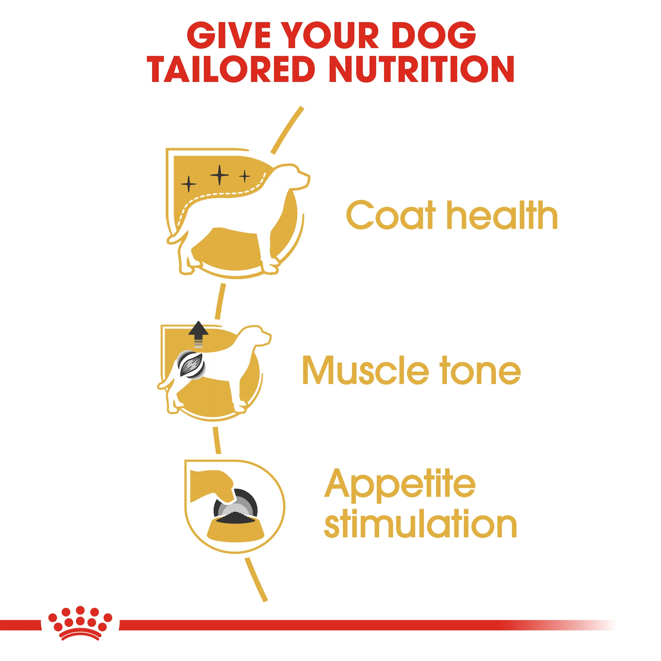 ROYAL CANIN Poodle Adult Wet Dog Food - Image 6